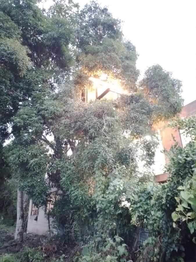 La Casita Del Arbol Guaduas Cundi. Hotel Kültér fotó