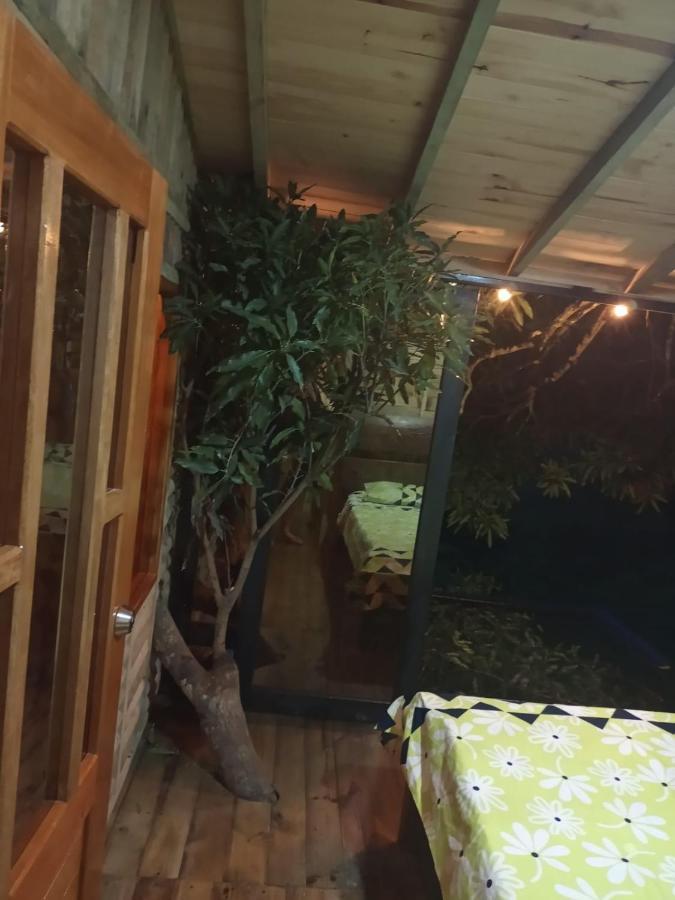 La Casita Del Arbol Guaduas Cundi. Hotel Kültér fotó