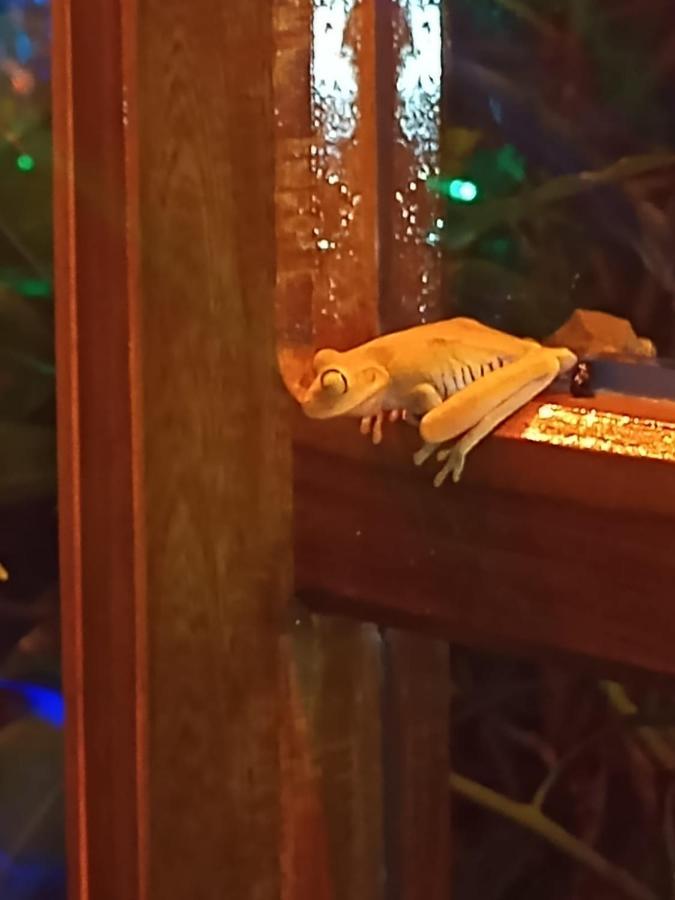 La Casita Del Arbol Guaduas Cundi. Hotel Kültér fotó